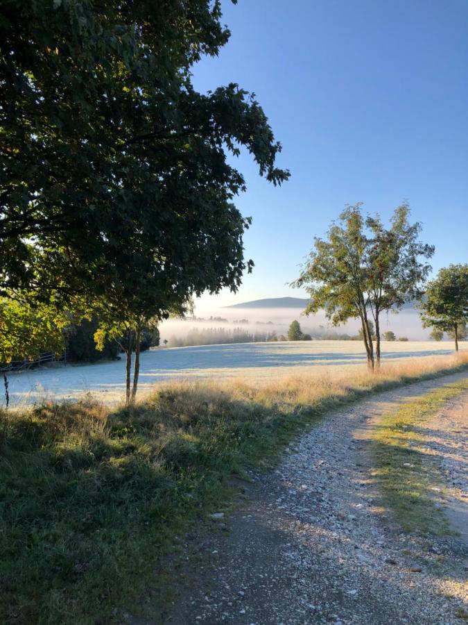 Wzgorze Owiec Sheep Hill Mostowice Buitenkant foto