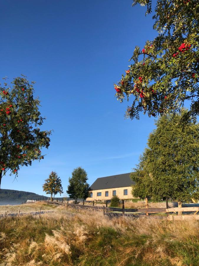 Wzgorze Owiec Sheep Hill Mostowice Buitenkant foto