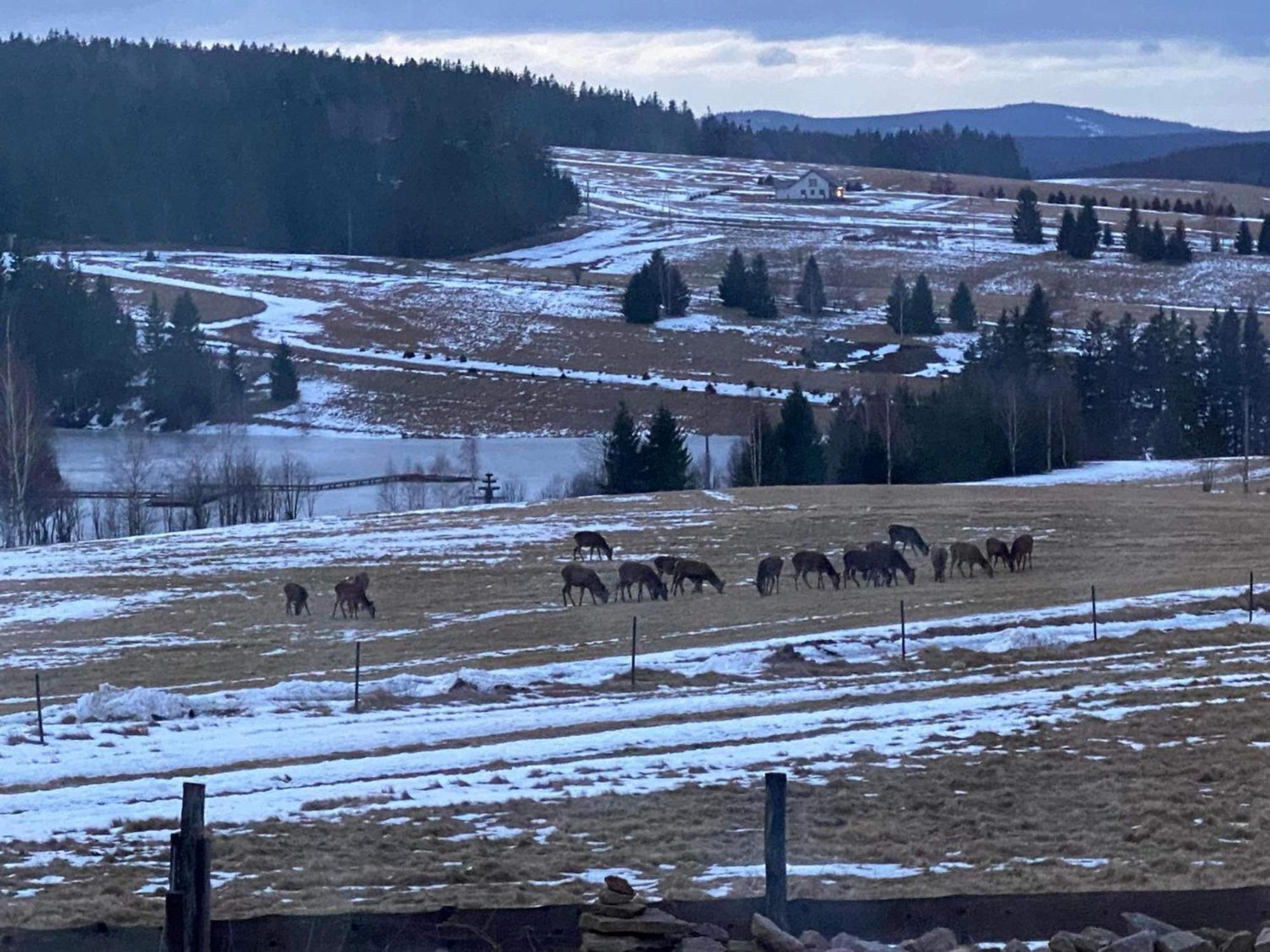 Wzgorze Owiec Sheep Hill Mostowice Buitenkant foto